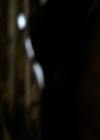 VampireDiariesWorld_dot_org-111Bloodlines1547.jpg
