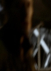 VampireDiariesWorld_dot_org-111Bloodlines1575.jpg