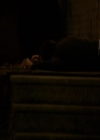 VampireDiariesWorld_dot_org-111Bloodlines1607.jpg