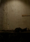 VampireDiariesWorld_dot_org-111Bloodlines1621.jpg