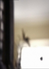VampireDiariesWorld_dot_org-115AFewGoodMen0942.jpg