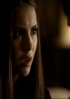 VampireDiariesWorld_dot_org-115AFewGoodMen1310.jpg