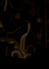 VampireDiariesWorld_dot_org-115AFewGoodMen2044.jpg