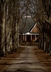VampireDiariesWorld_dot_org-116ThereGoesTheNeighbourhood0001.jpg