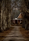 VampireDiariesWorld_dot_org-116ThereGoesTheNeighbourhood0002.jpg