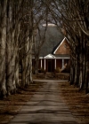 VampireDiariesWorld_dot_org-116ThereGoesTheNeighbourhood0003.jpg