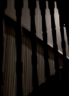 VampireDiariesWorld_dot_org-116ThereGoesTheNeighbourhood0004.jpg