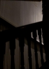 VampireDiariesWorld_dot_org-116ThereGoesTheNeighbourhood0005.jpg