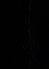 VampireDiariesWorld_dot_org-116ThereGoesTheNeighbourhood1782.jpg