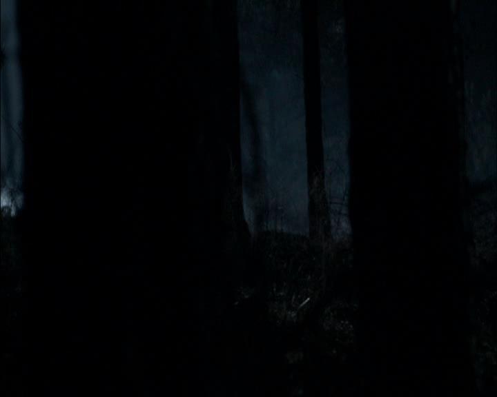 VampireDiariesWorld_dot_org-117LetTheRightOneIn1490.jpg