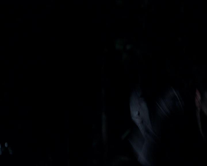 VampireDiariesWorld_dot_org-117LetTheRightOneIn1571.jpg