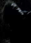 VampireDiariesWorld_dot_org-117LetTheRightOneIn1570.jpg