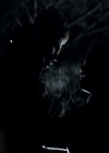 VampireDiariesWorld_dot_org-117LetTheRightOneIn1585.jpg