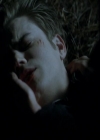VampireDiariesWorld_dot_org-117LetTheRightOneIn1774.jpg