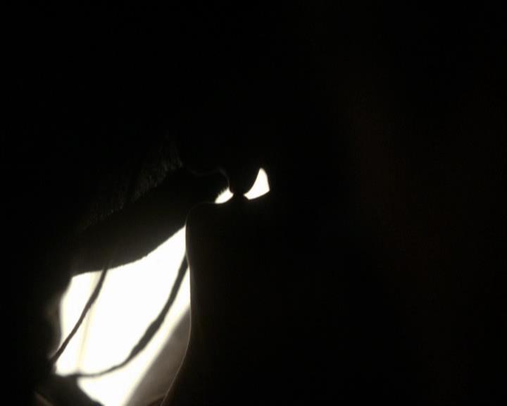 VampireDiariesWorld_dot_org-118UnderControl0528.jpg