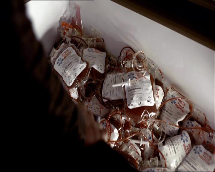 VampireDiariesWorld_dot_org-119MissMysticFall0405.jpg