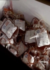 VampireDiariesWorld_dot_org-119MissMysticFall0426.jpg