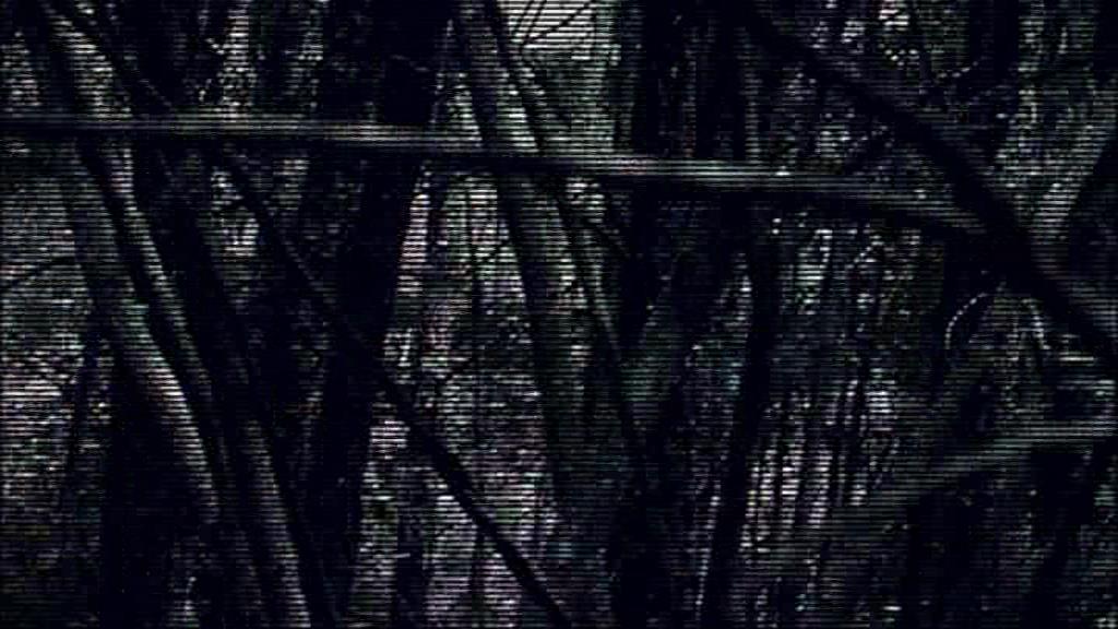 VampireDiariesWorld-dot-org_TVD-S1-SpecialFeatures_ADarkerTruthWebisodes_Captures00288.jpg
