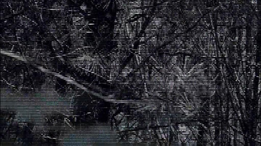 VampireDiariesWorld-dot-org_TVD-S1-SpecialFeatures_ADarkerTruthWebisodes_Captures00292.jpg VampireDiariesWorld-dot-org_TVD-S1-SpecialFeatures_ADarkerTruthWebisodes_Captures00292.jpg