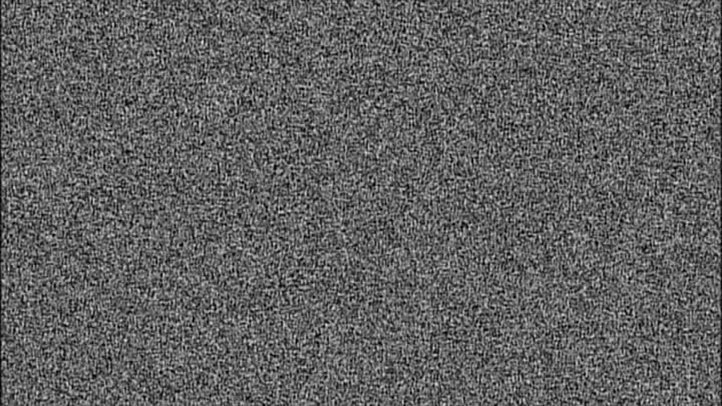 VampireDiariesWorld-dot-org_TVD-S1-SpecialFeatures_ADarkerTruthWebisodes_Captures00462.jpg
