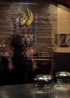 VampireDiariesWorld-dot-org_TVD-S1-SpecialFeatures_ADarkerTruthWebisodes_Captures00084.jpg