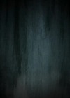 VampireDiariesWorld-dot-org_TVD-S1-SpecialFeatures_ADarkerTruthWebisodes_Captures00107.jpg