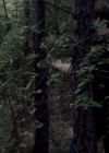 VampireDiariesWorld-dot-org_TVD-S1-SpecialFeatures_ADarkerTruthWebisodes_Captures00241.jpg