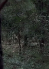 VampireDiariesWorld-dot-org_TVD-S1-SpecialFeatures_ADarkerTruthWebisodes_Captures00247.jpg