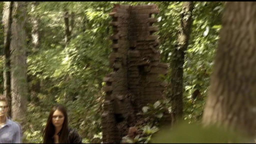 VampireDiariesWorld-dot-org_TVD-S1-UnairedScenes1x05_Captures00003.jpg