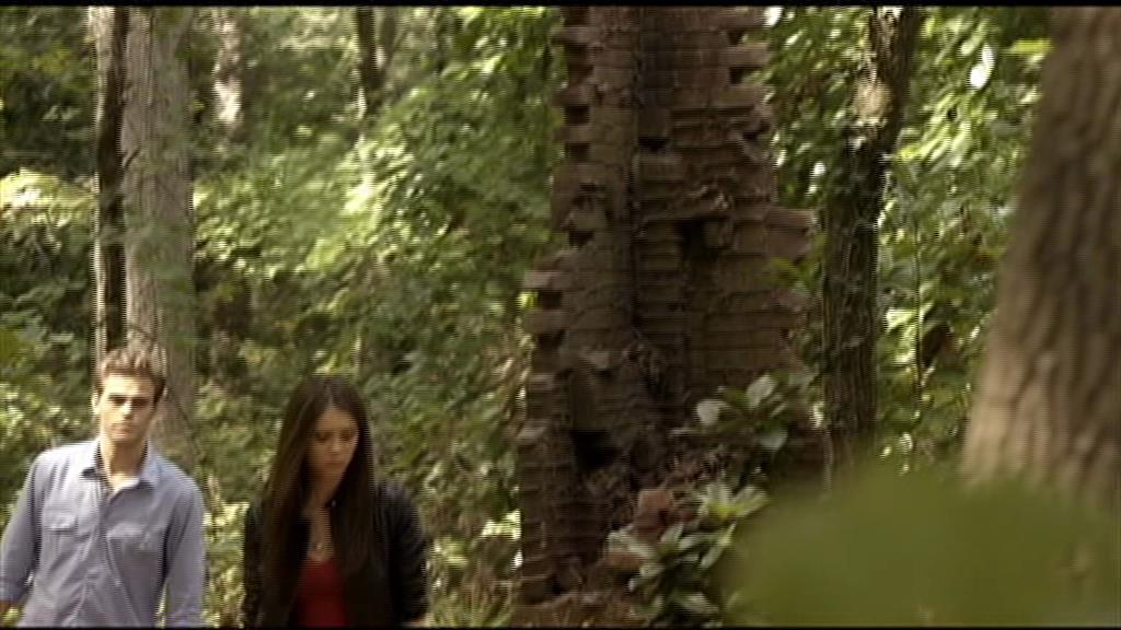 VampireDiariesWorld-dot-org_TVD-S1-UnairedScenes1x05_Captures00004.jpg