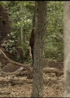 VampireDiariesWorld-dot-org_TVD-S1-UnairedScenes1x05_Captures00011.jpg