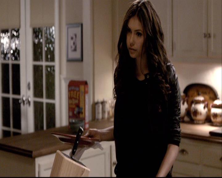 VampireDiariesWorld-dot-org_2x01TheReturn0016.jpg