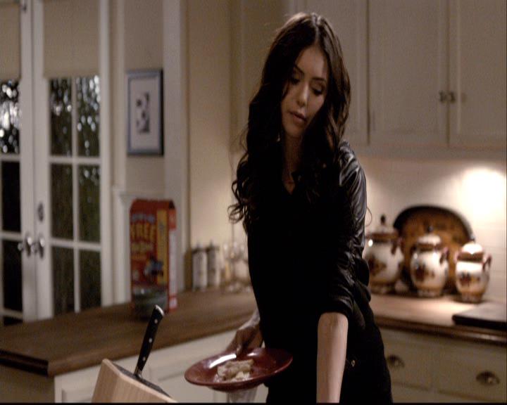 VampireDiariesWorld-dot-org_2x01TheReturn0017.jpg