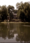 VampireDiariesWorld-dot-org_2x01TheReturn1403.jpg