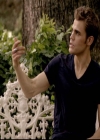 VampireDiariesWorld-dot-org_2x01TheReturn1550.jpg