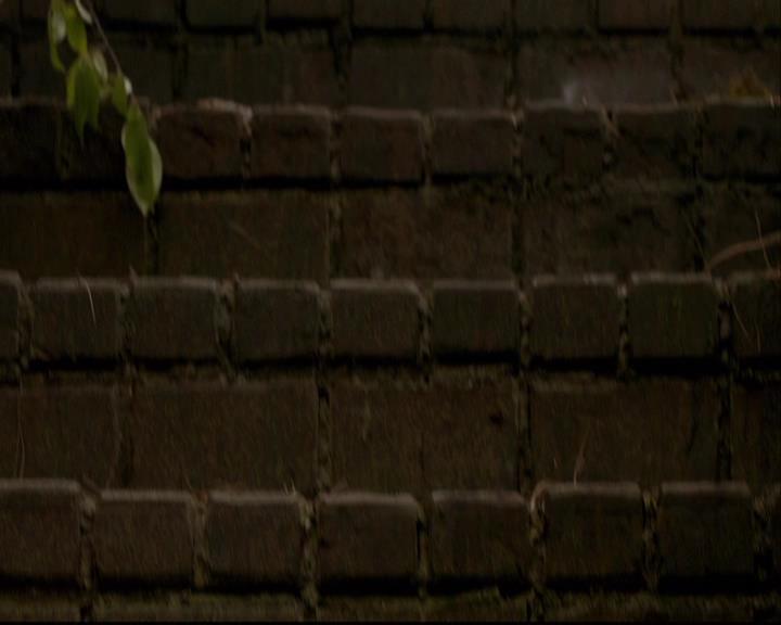 VampireDiariesWorld-dot-org_2x03BadMoonRising0068.jpg