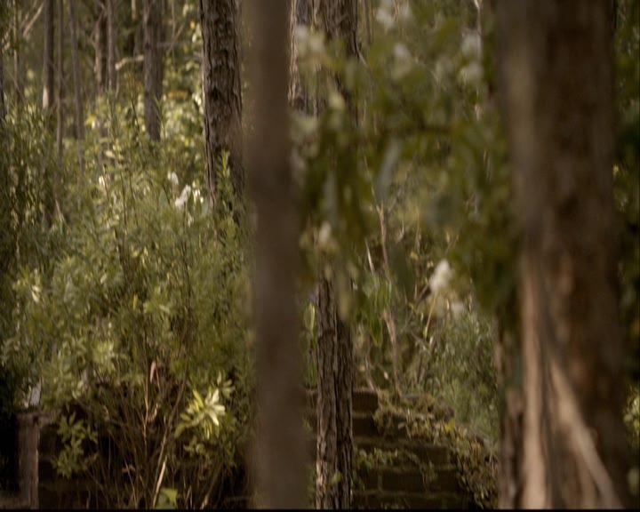 VampireDiariesWorld-dot-org_2x03BadMoonRising0076.jpg