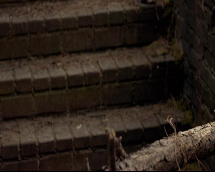 VampireDiariesWorld-dot-org_2x03BadMoonRising0079.jpg