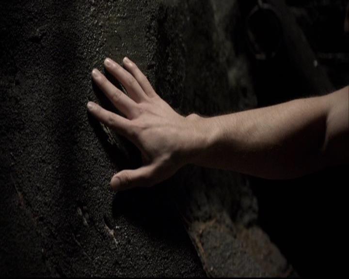 VampireDiariesWorld-dot-org_2x03BadMoonRising0140.jpg