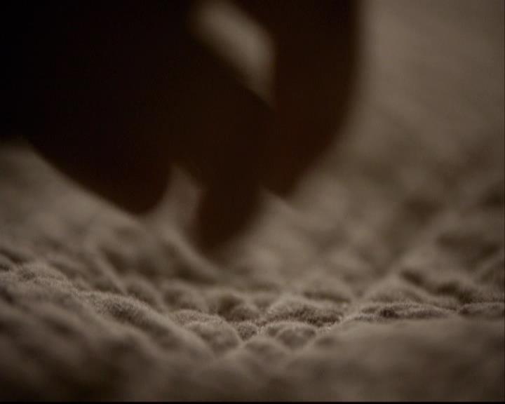 VampireDiariesWorld-dot-org_2x03BadMoonRising0511.jpg