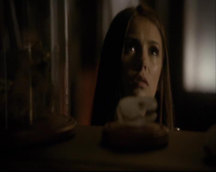 VampireDiariesWorld-dot-org_2x03BadMoonRising0652.jpg