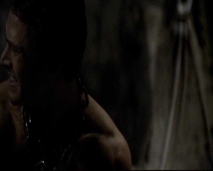 VampireDiariesWorld-dot-org_2x03BadMoonRising1318.jpg