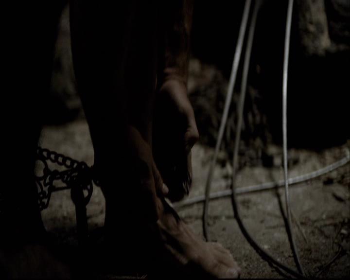 VampireDiariesWorld-dot-org_2x03BadMoonRising1321.jpg