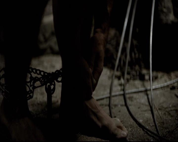 VampireDiariesWorld-dot-org_2x03BadMoonRising1322.jpg