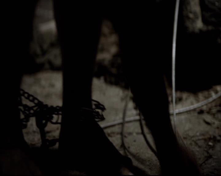 VampireDiariesWorld-dot-org_2x03BadMoonRising1323.jpg