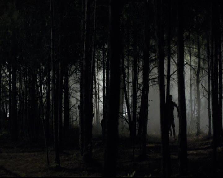 VampireDiariesWorld-dot-org_2x03BadMoonRising1395.jpg