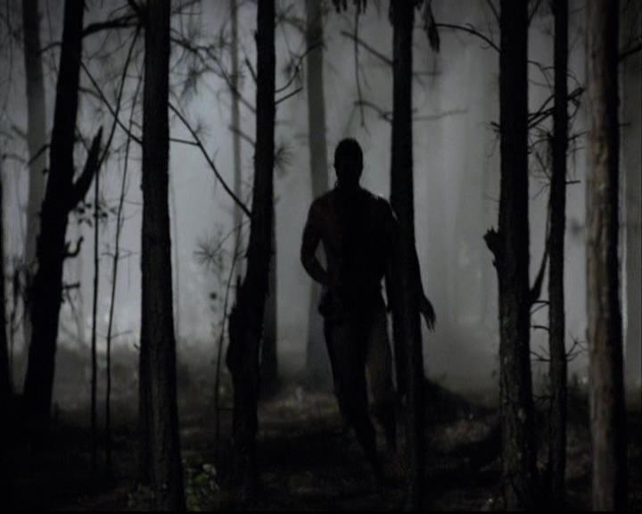 VampireDiariesWorld-dot-org_2x03BadMoonRising1396.jpg