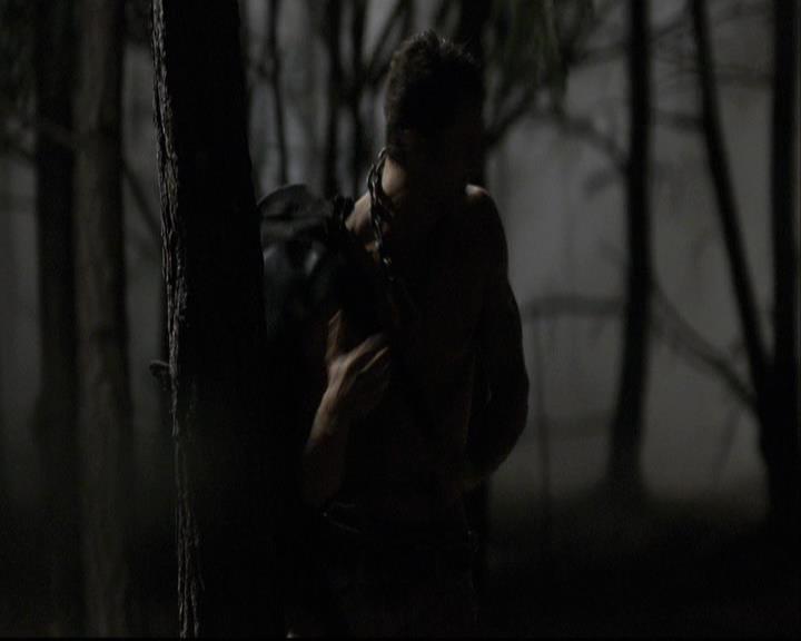 VampireDiariesWorld-dot-org_2x03BadMoonRising1402.jpg