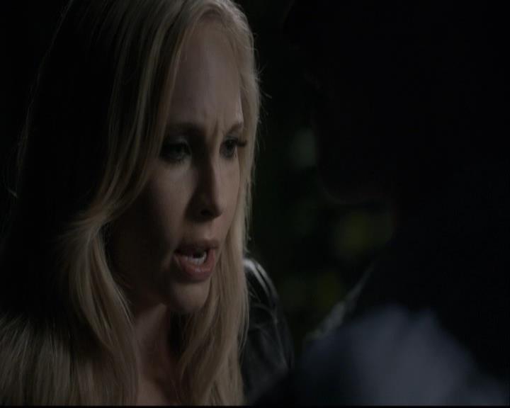 VampireDiariesWorld-dot-org_2x03BadMoonRising1801.jpg