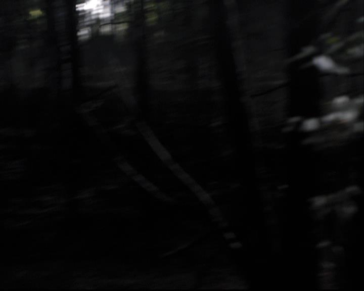 VampireDiariesWorld-dot-org_2x03BadMoonRising1852.jpg